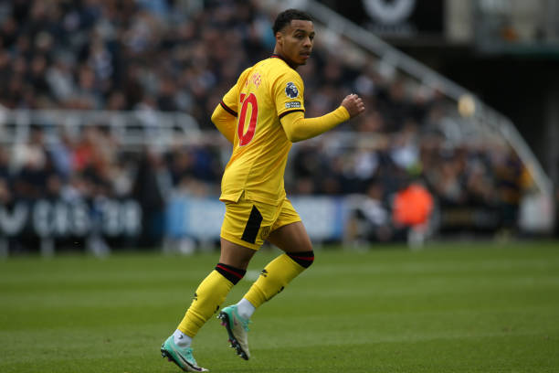 策略显然也 策略显然也