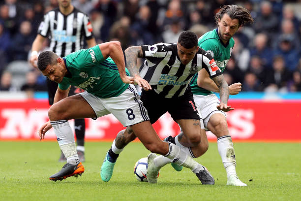 篮球爱好者 篮球爱好者